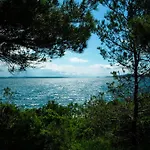 Ana & Marko-island Osljak