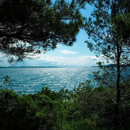 Ana & Marko-island Osljak