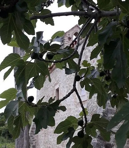 Ana & Marko-island Nyaraló *