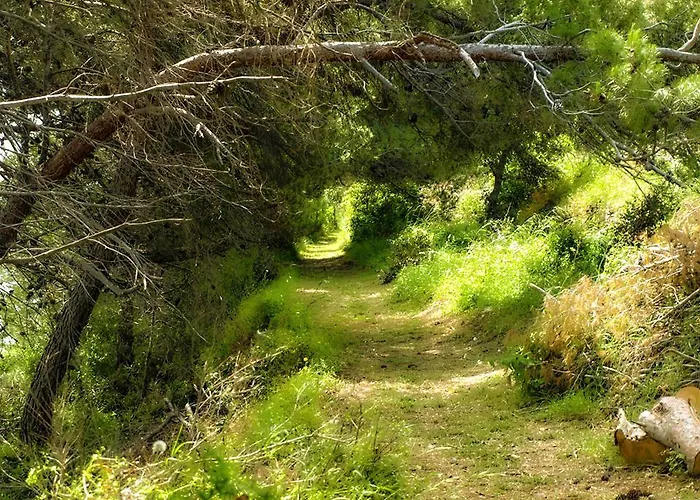 Nyaraló Ana & Marko-island *